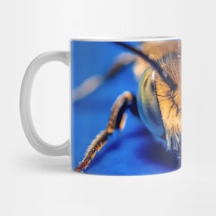 Macro Photograph Sand Wasp Cute Bug Mug